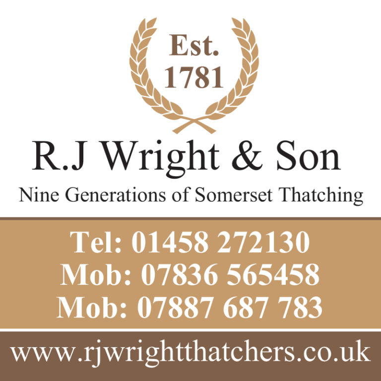 Logo DiscoverSomerston 1 768x768
